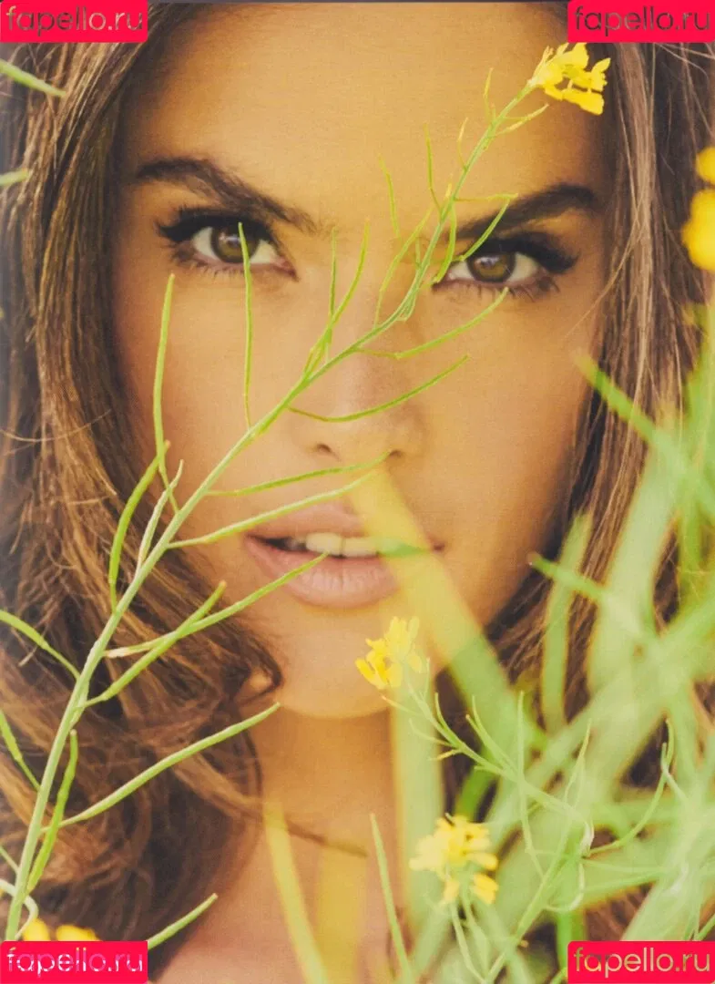 Alessandra Ambrosio / aleambrosio / alelovesanja / alessandraambrosio Onlyfans Photo Gallery 