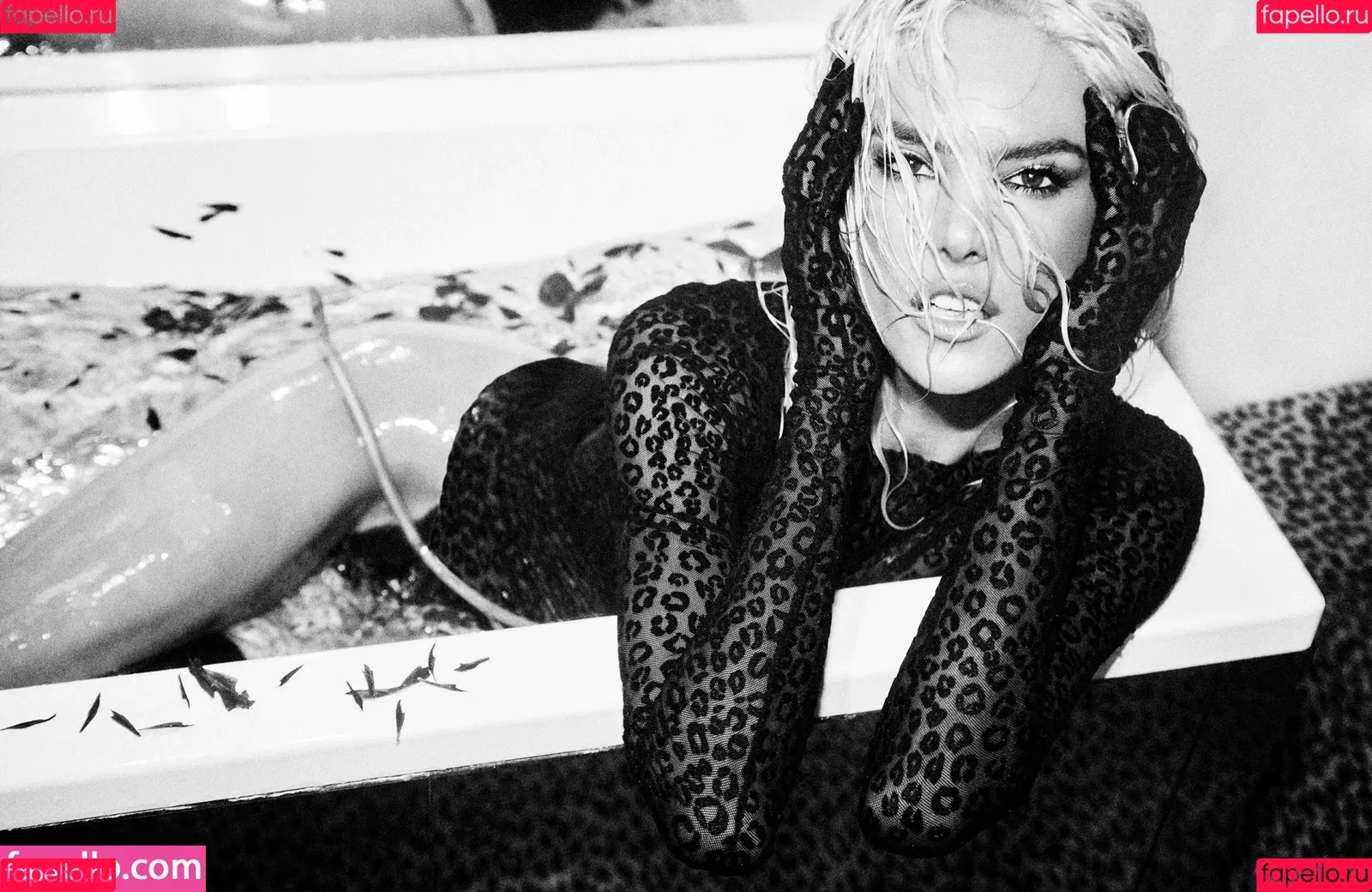 Alessandra Ambrosio / aleambrosio / alelovesanja / alessandraambrosio Onlyfans Photo Gallery 