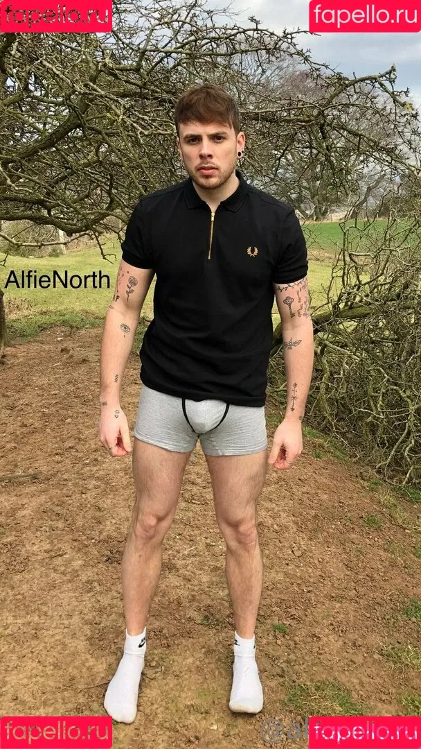 alfienorth / alfienorthfree Onlyfans Photo Gallery 
