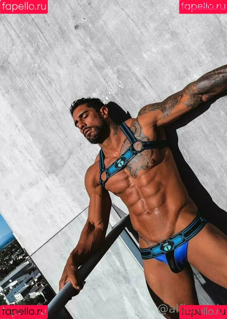 alfienorth / alfienorthfree Onlyfans Photo Gallery 