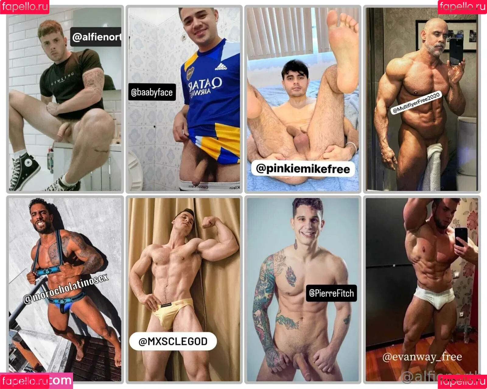 alfienorth / alfienorthfree Onlyfans Photo Gallery 