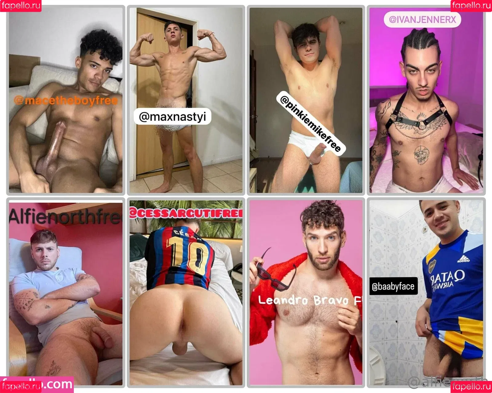 alfienorth / alfienorthfree Onlyfans Photo Gallery 