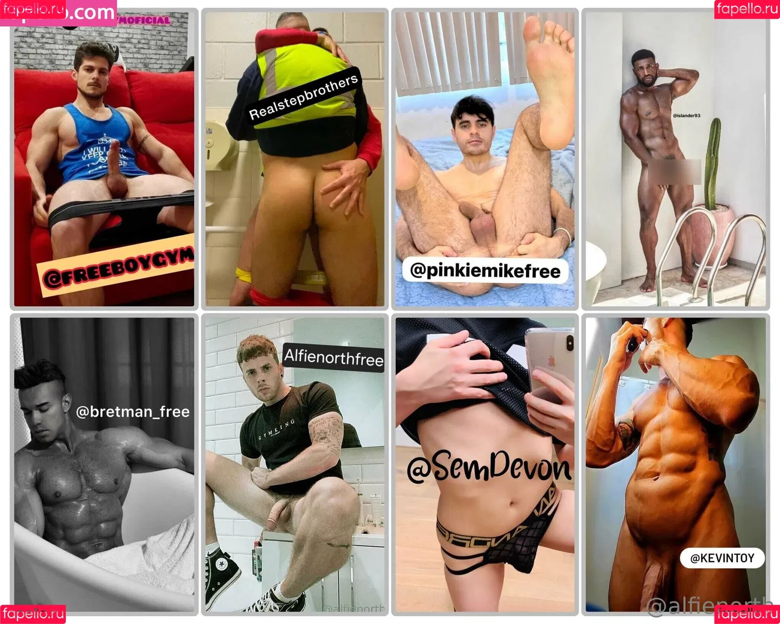 alfienorth / alfienorthfree Onlyfans Photo Gallery 