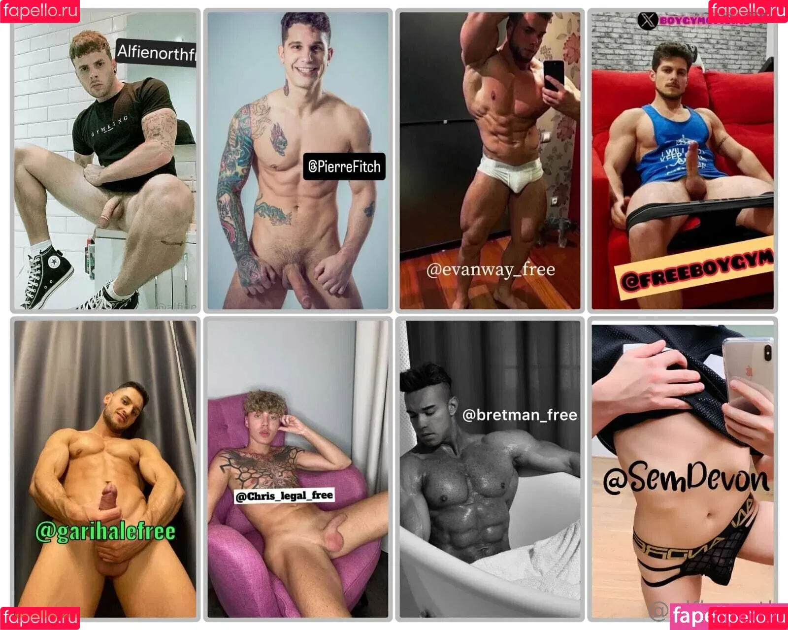 alfienorth / alfienorthfree Onlyfans Photo Gallery 