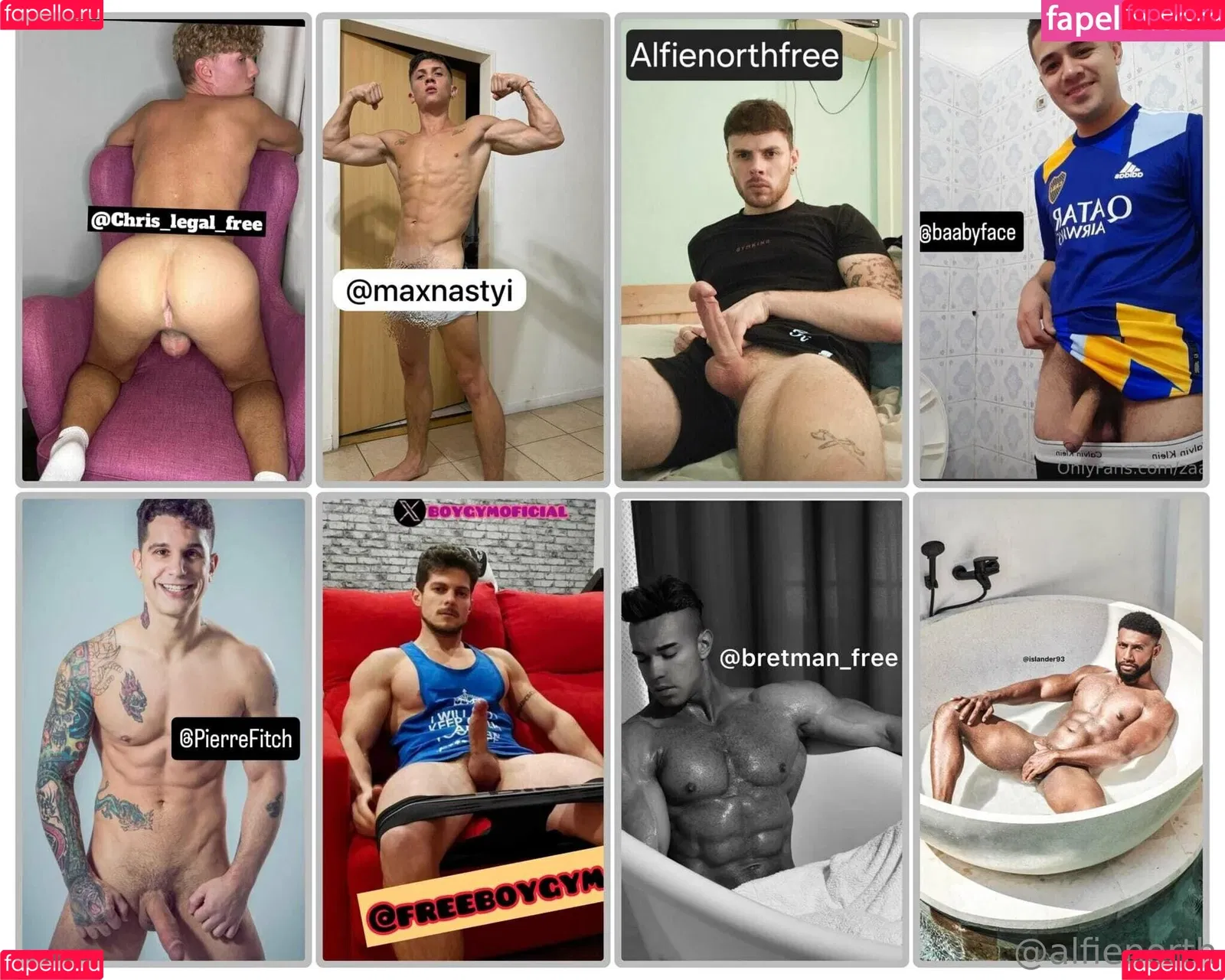 alfienorth / alfienorthfree Onlyfans Photo Gallery 