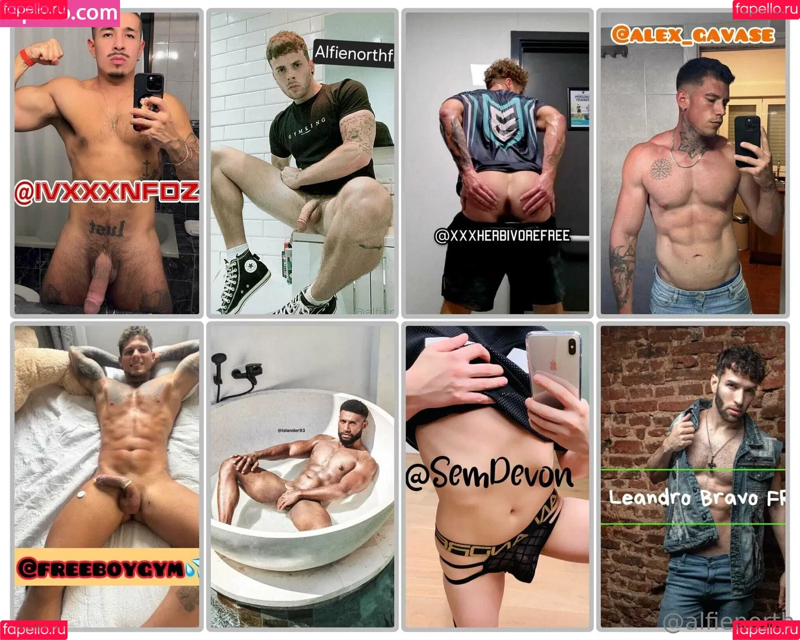 alfienorth / alfienorthfree Onlyfans Photo Gallery 