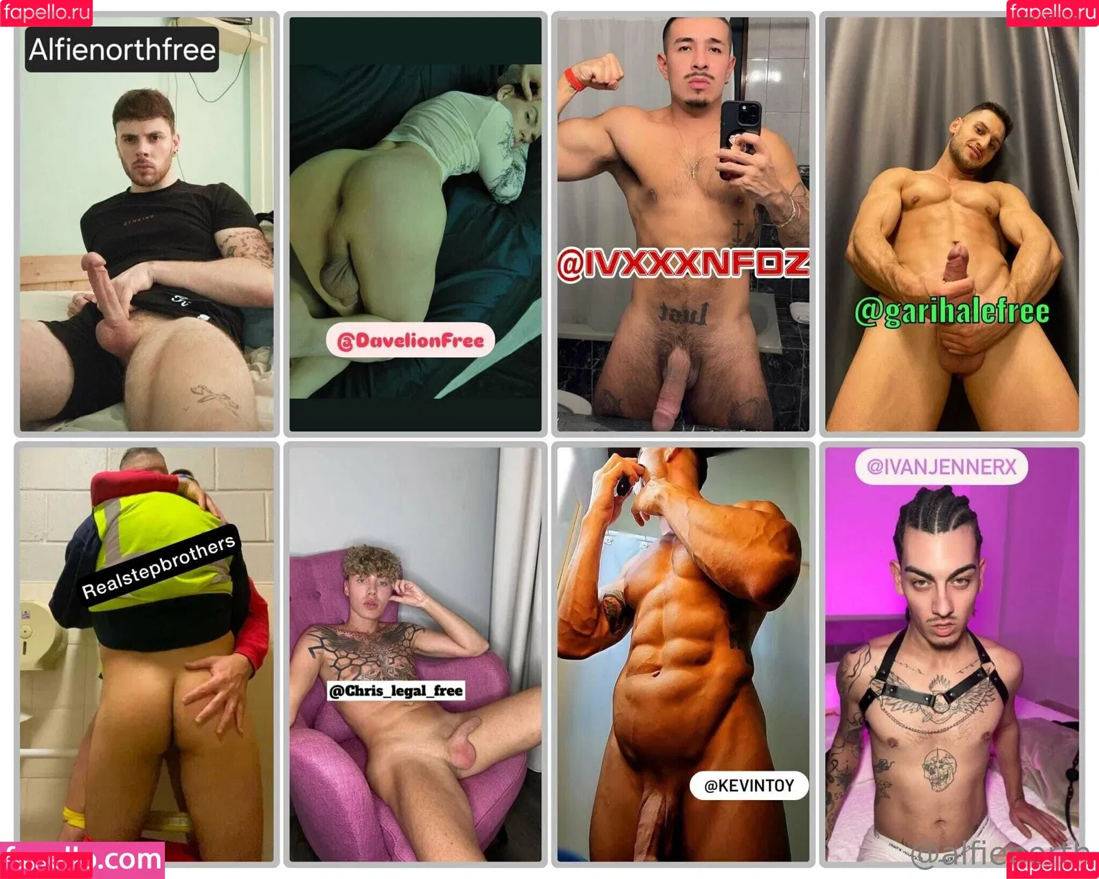 alfienorth / alfienorthfree Onlyfans Photo Gallery 