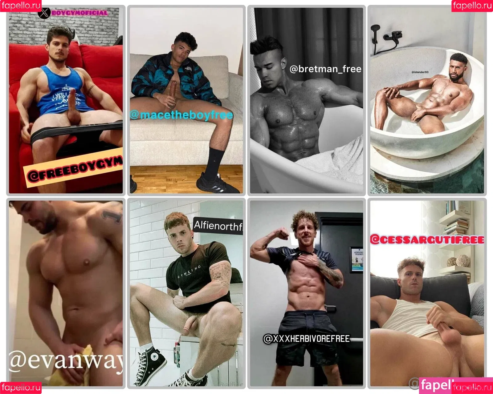alfienorth / alfienorthfree Onlyfans Photo Gallery 