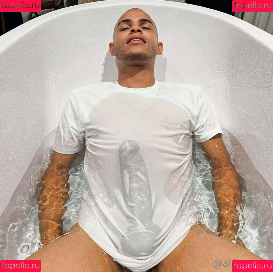 alfienorth / alfienorthfree Onlyfans Photo Gallery 
