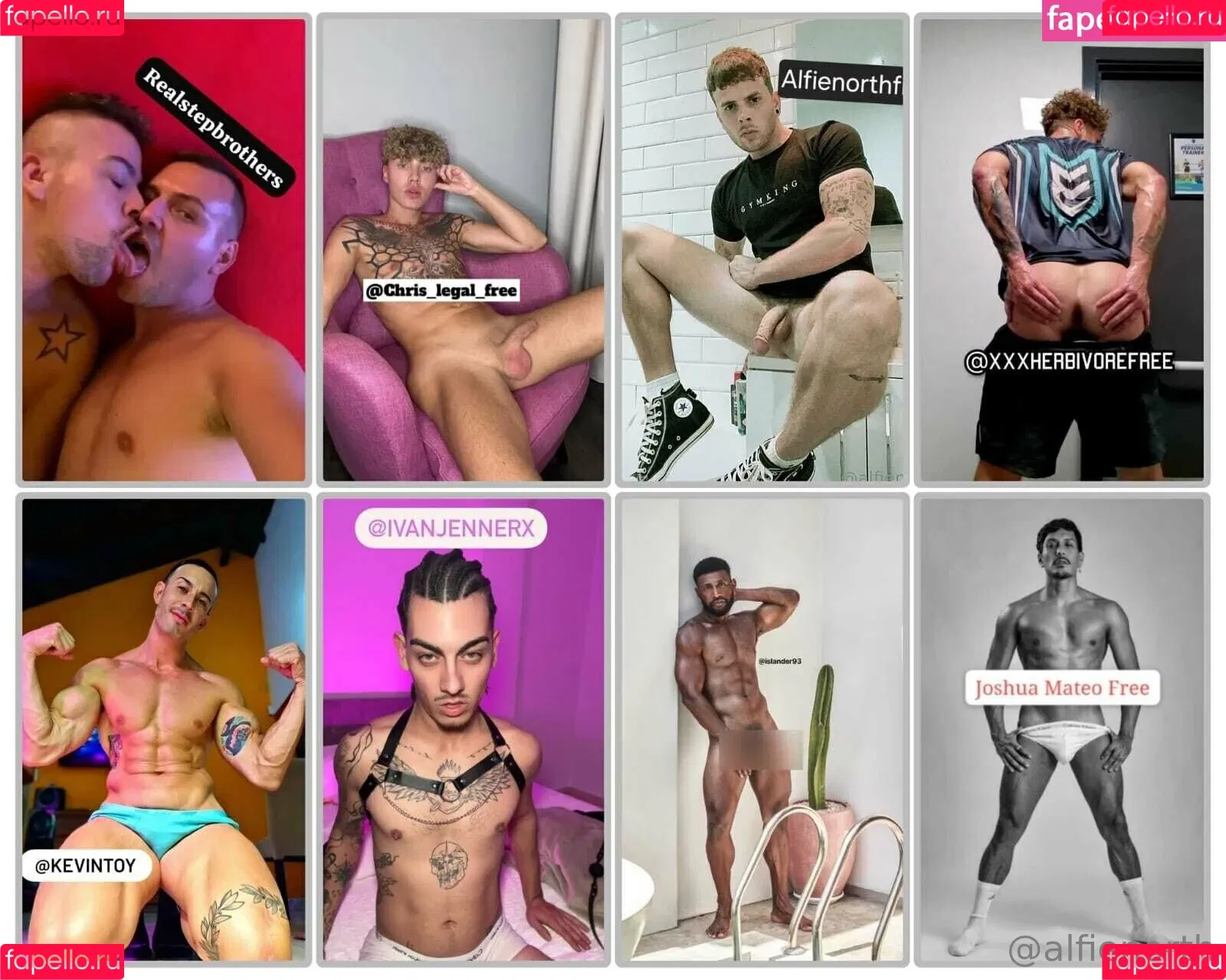 alfienorth / alfienorthfree Onlyfans Photo Gallery 