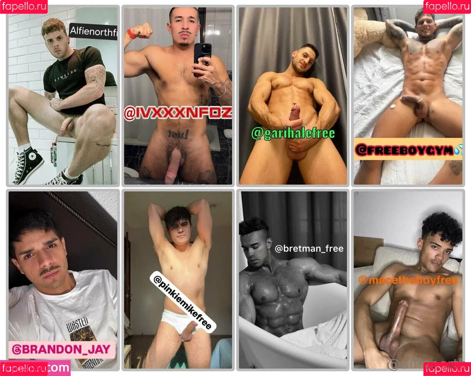 alfienorth / alfienorthfree Onlyfans Photo Gallery 
