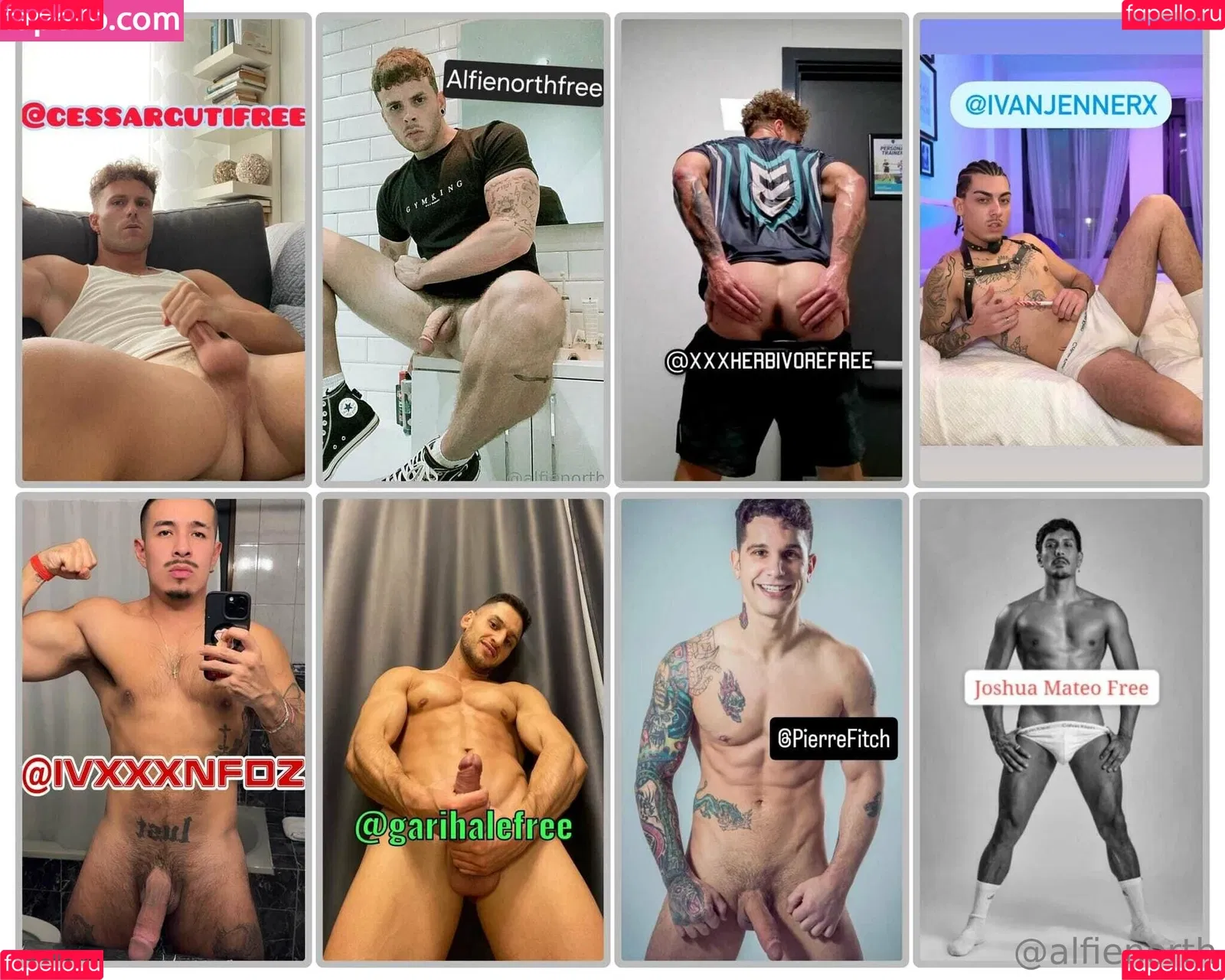 alfienorth / alfienorthfree Onlyfans Photo Gallery 