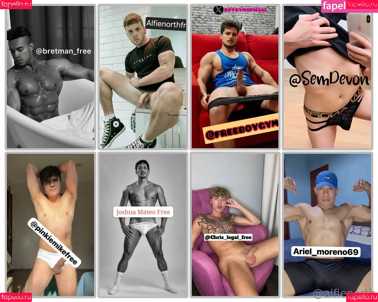 alfienorth / alfienorthfree Onlyfans Photo Gallery 