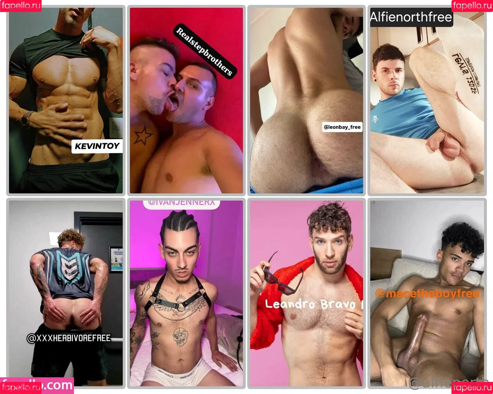 alfienorth / alfienorthfree Onlyfans Photo Gallery 