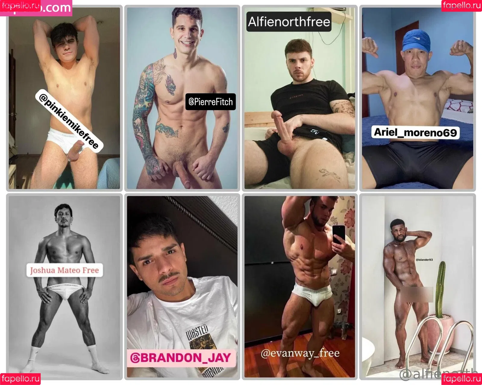 alfienorth / alfienorthfree Onlyfans Photo Gallery 