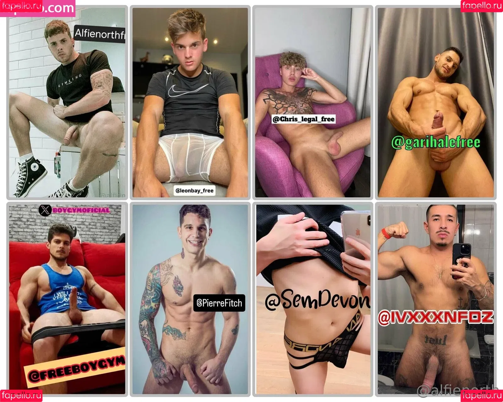 alfienorth / alfienorthfree Onlyfans Photo Gallery 