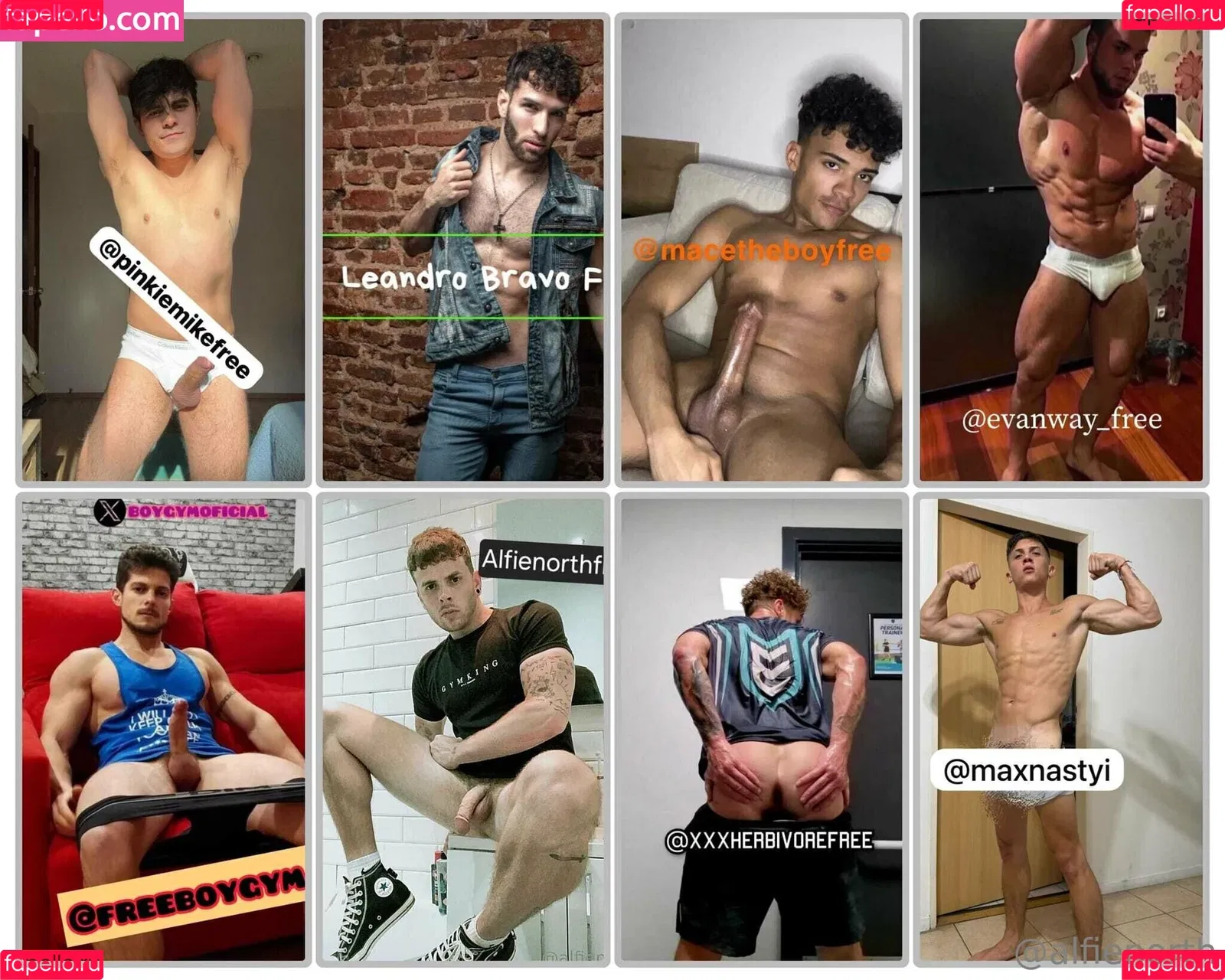 alfienorth / alfienorthfree Onlyfans Photo Gallery 