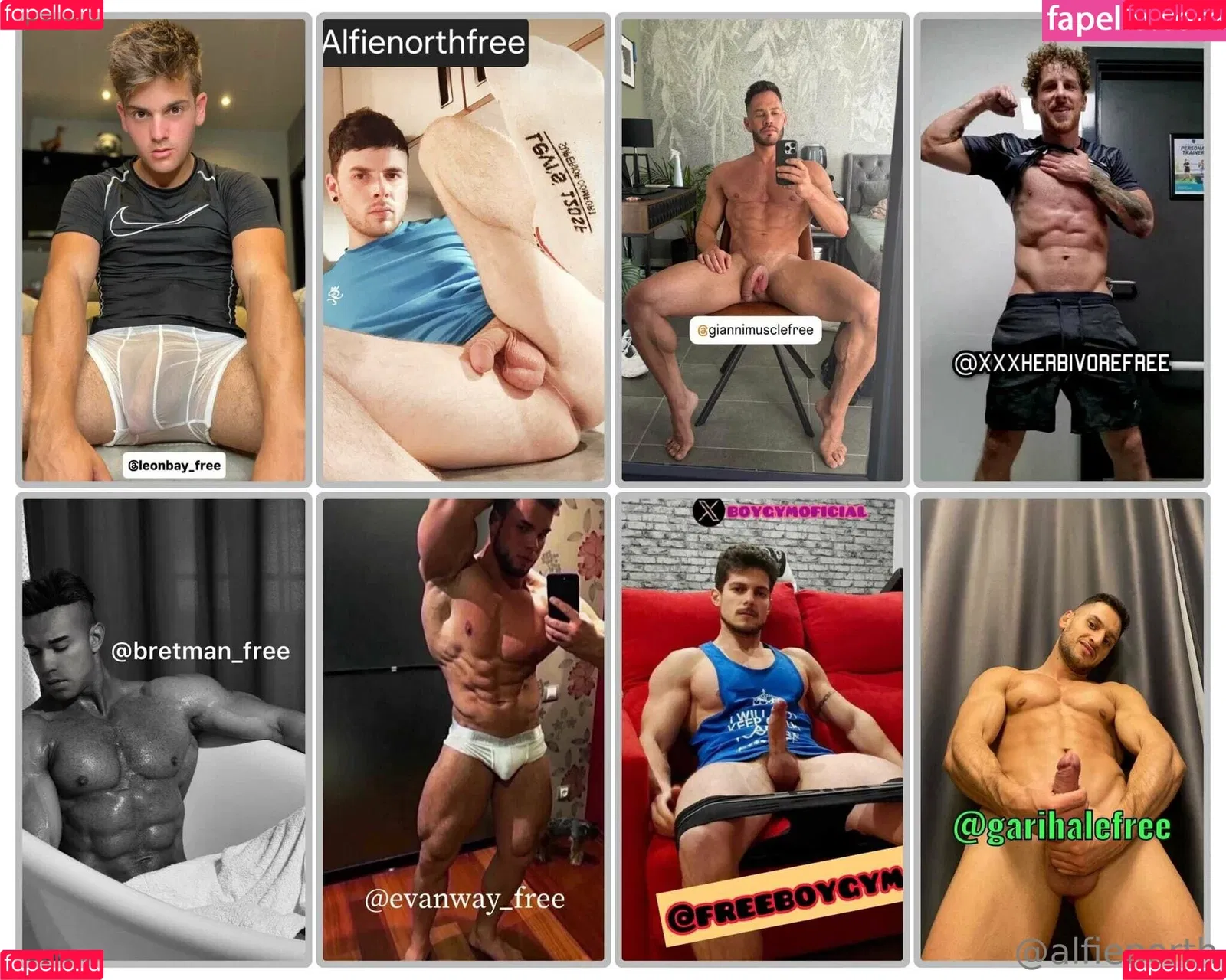 alfienorth / alfienorthfree Onlyfans Photo Gallery 