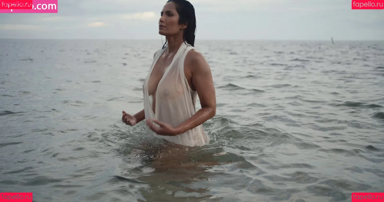 Padma Lakshmi / PadmaLakshmi Onlyfans Photo Gallery 