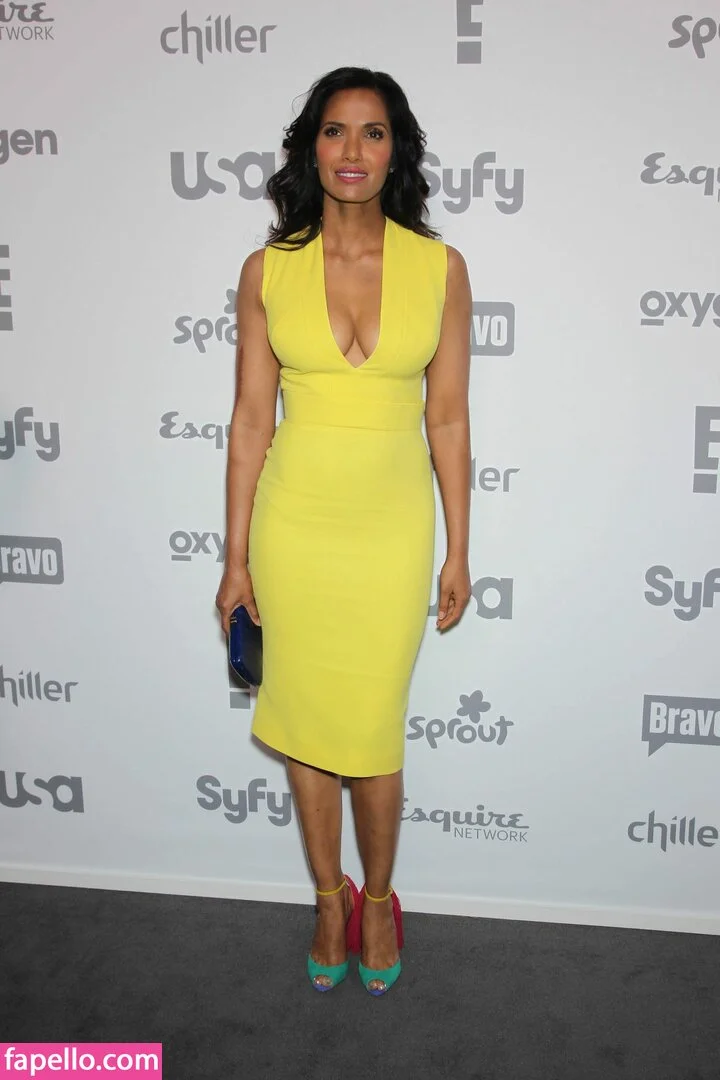 Padma Lakshmi / PadmaLakshmi Onlyfans Photo Gallery 