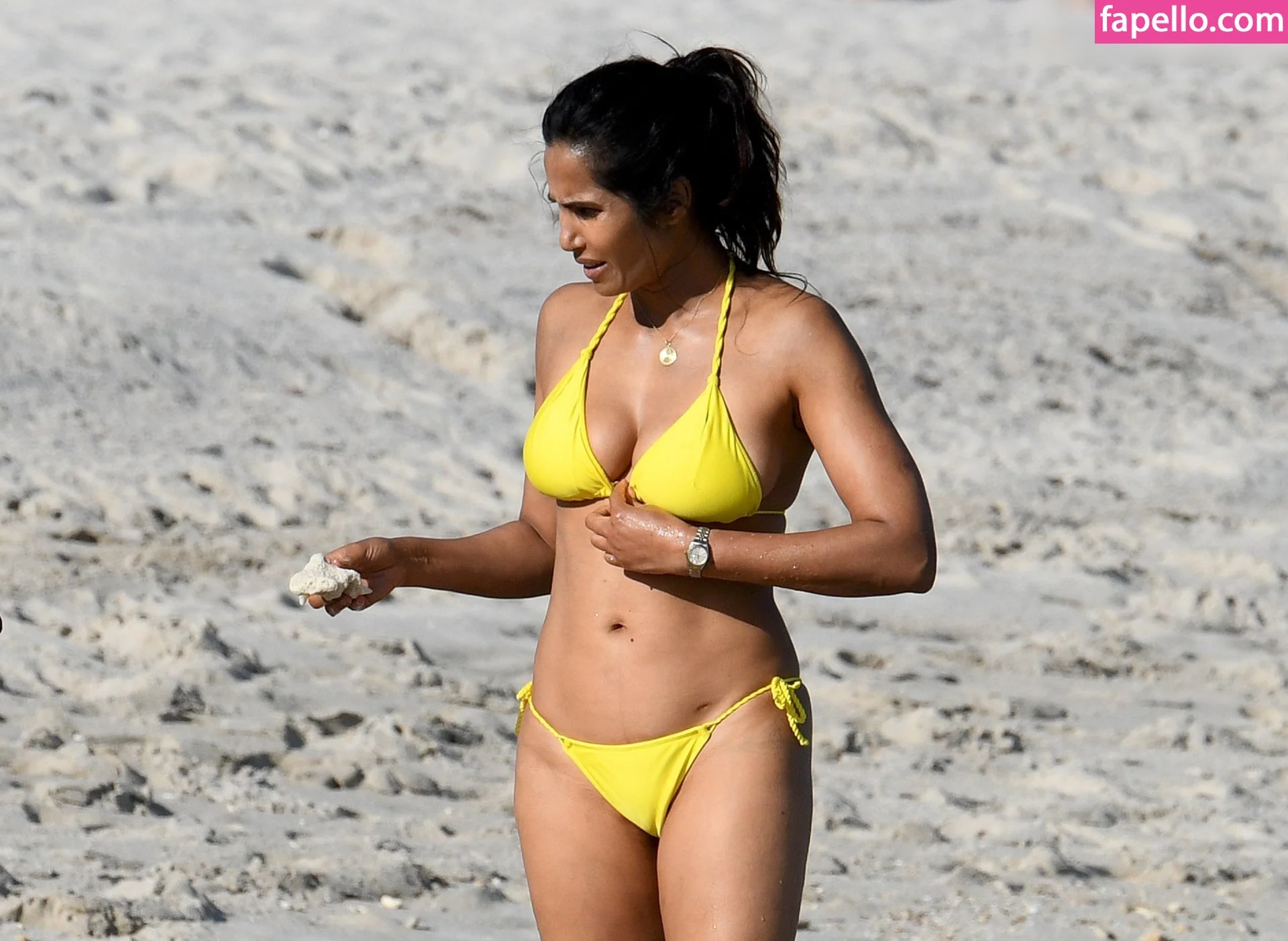 Padma Lakshmi / PadmaLakshmi Onlyfans Photo Gallery 