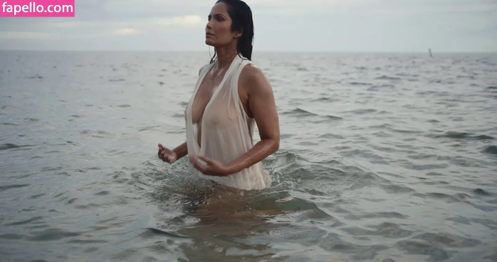 Padma Lakshmi / PadmaLakshmi Onlyfans Photo Gallery 