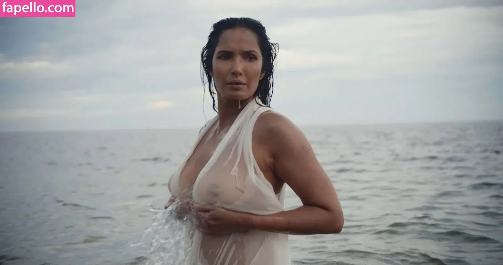 Padma Lakshmi / PadmaLakshmi Onlyfans Photo Gallery 