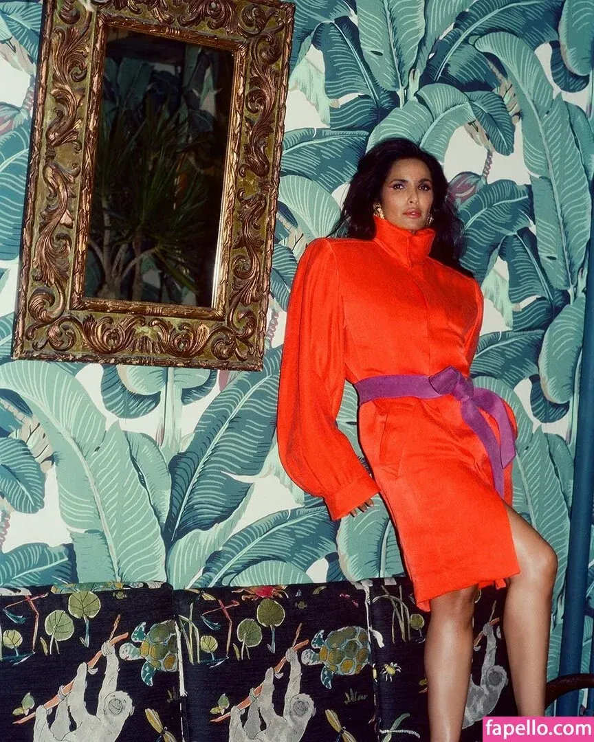 Padma Lakshmi / PadmaLakshmi Onlyfans Photo Gallery 