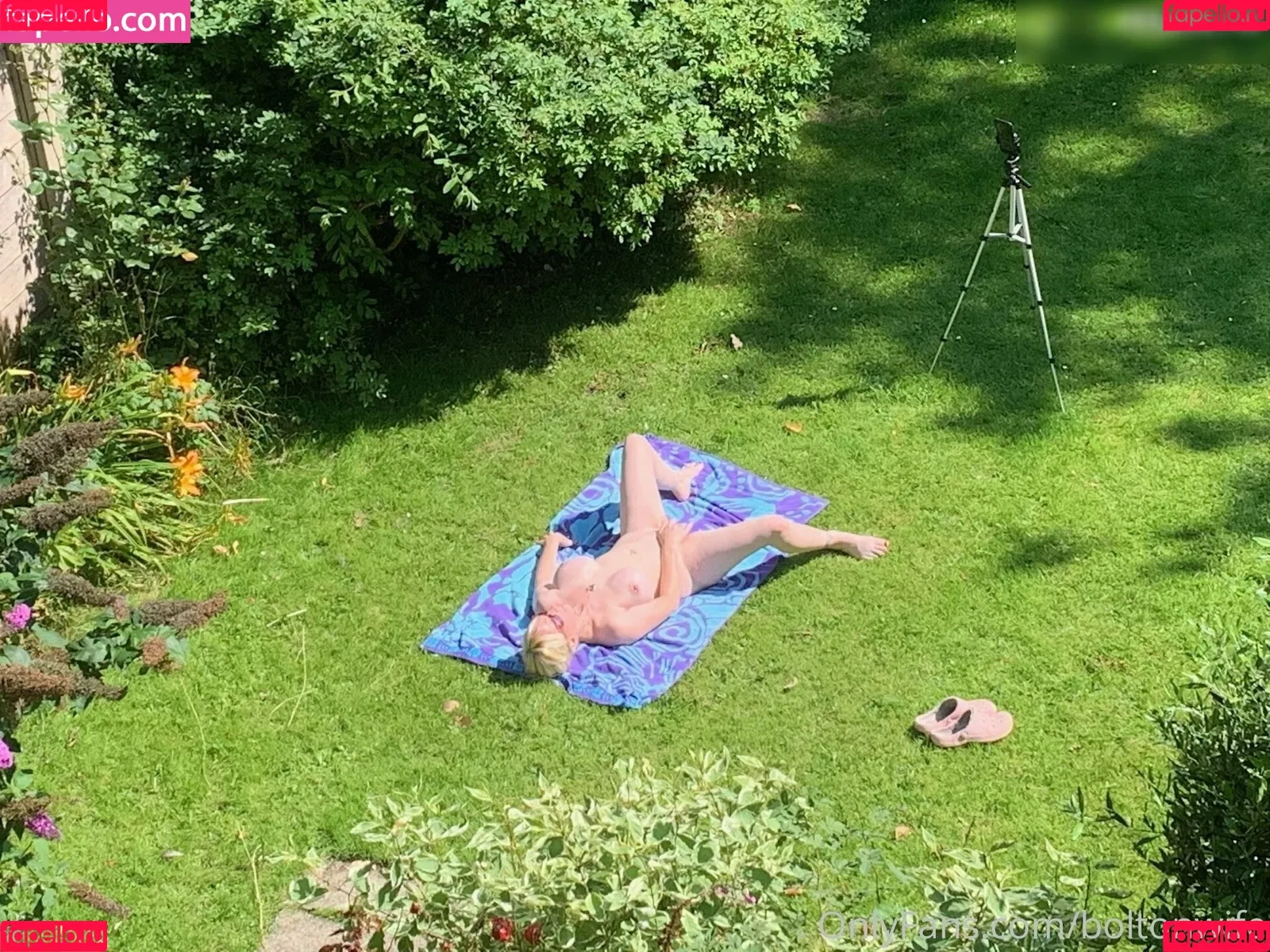 BoltOnWife / boltonswife Onlyfans Photo Gallery 