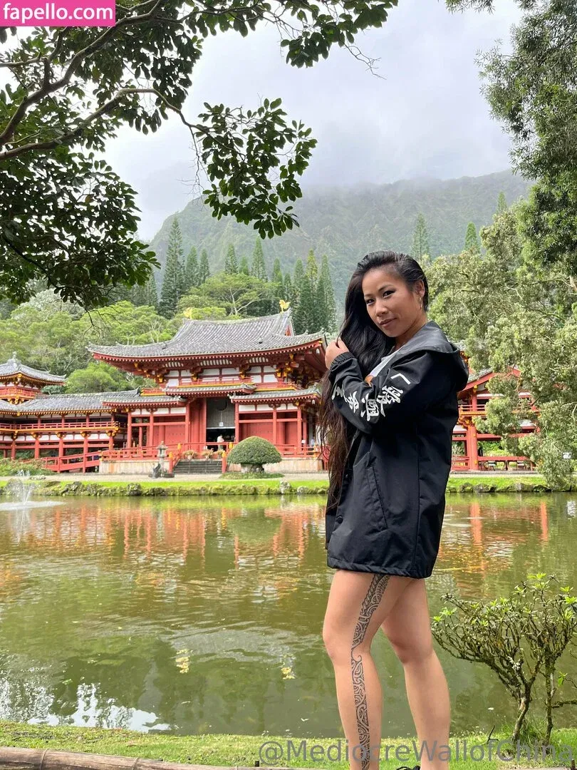 mediocrewallofchina Onlyfans Photo Gallery 