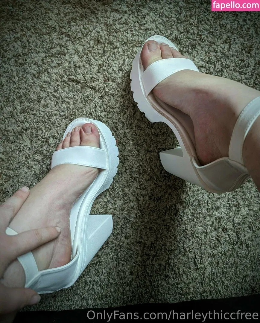 harley_thicc / harleythiccfree Onlyfans Photo Gallery 