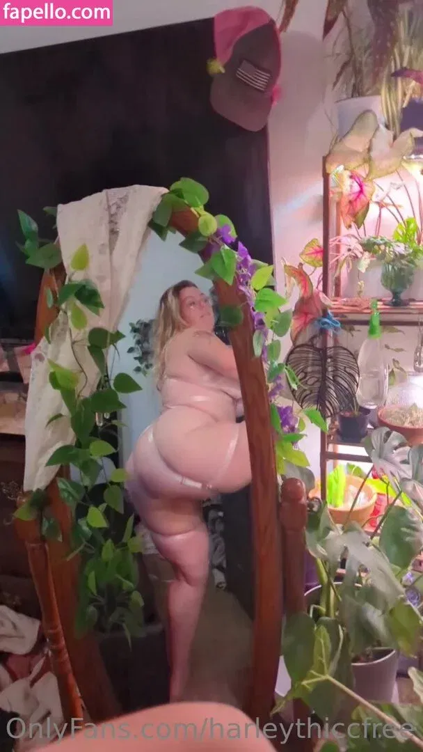 harley_thicc / harleythiccfree Onlyfans Photo Gallery 