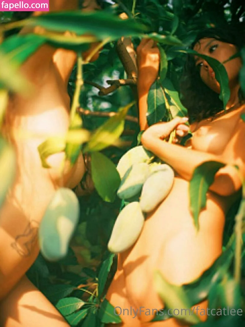 Fatcat Li / fatcatlee / foxxileelee Onlyfans Photo Gallery 