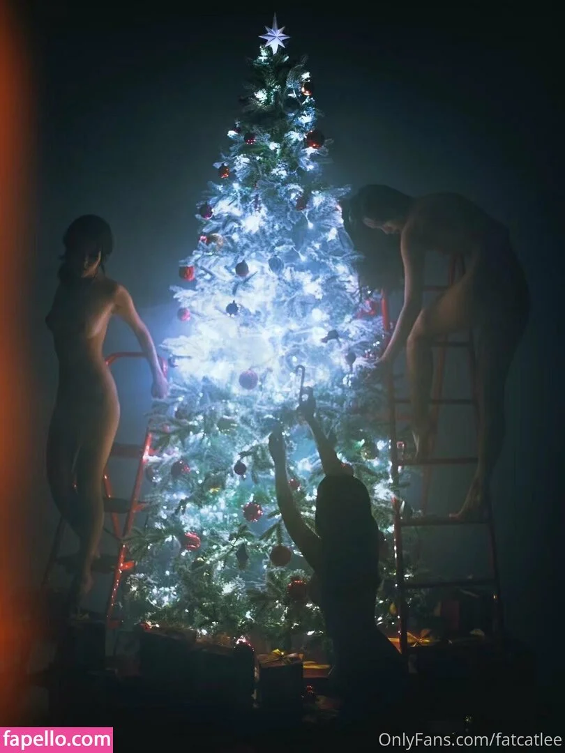 Fatcat Li / fatcatlee / foxxileelee Onlyfans Photo Gallery 