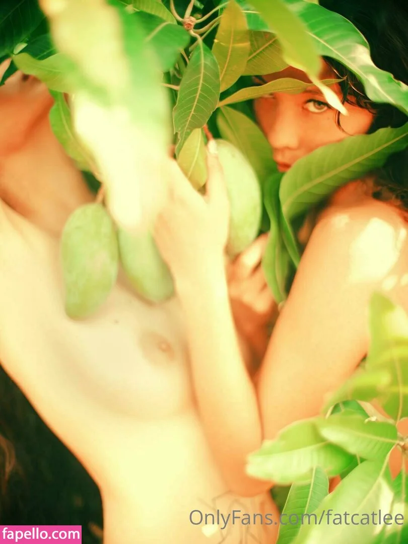 Fatcat Li / fatcatlee / foxxileelee Onlyfans Photo Gallery 