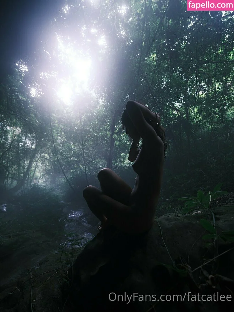 Fatcat Li / fatcatlee / foxxileelee Onlyfans Photo Gallery 