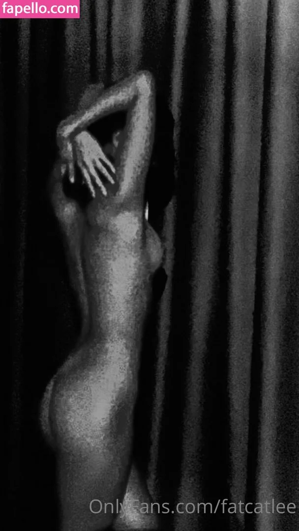 Fatcat Li / fatcatlee / foxxileelee Onlyfans Photo Gallery 
