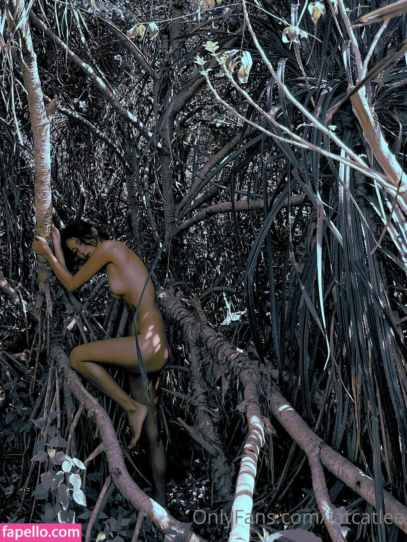 Fatcat Li / fatcatlee / foxxileelee Onlyfans Photo Gallery 