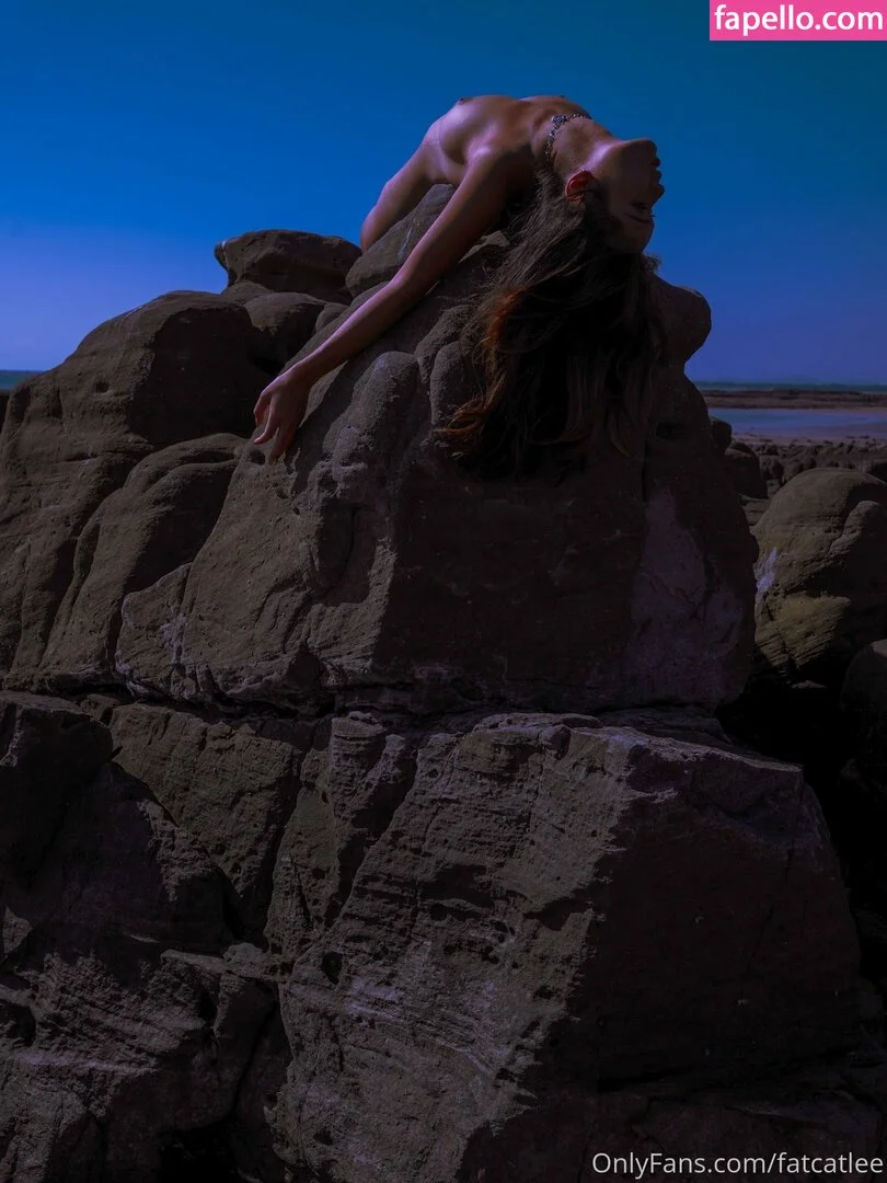 Fatcat Li / fatcatlee / foxxileelee Onlyfans Photo Gallery 