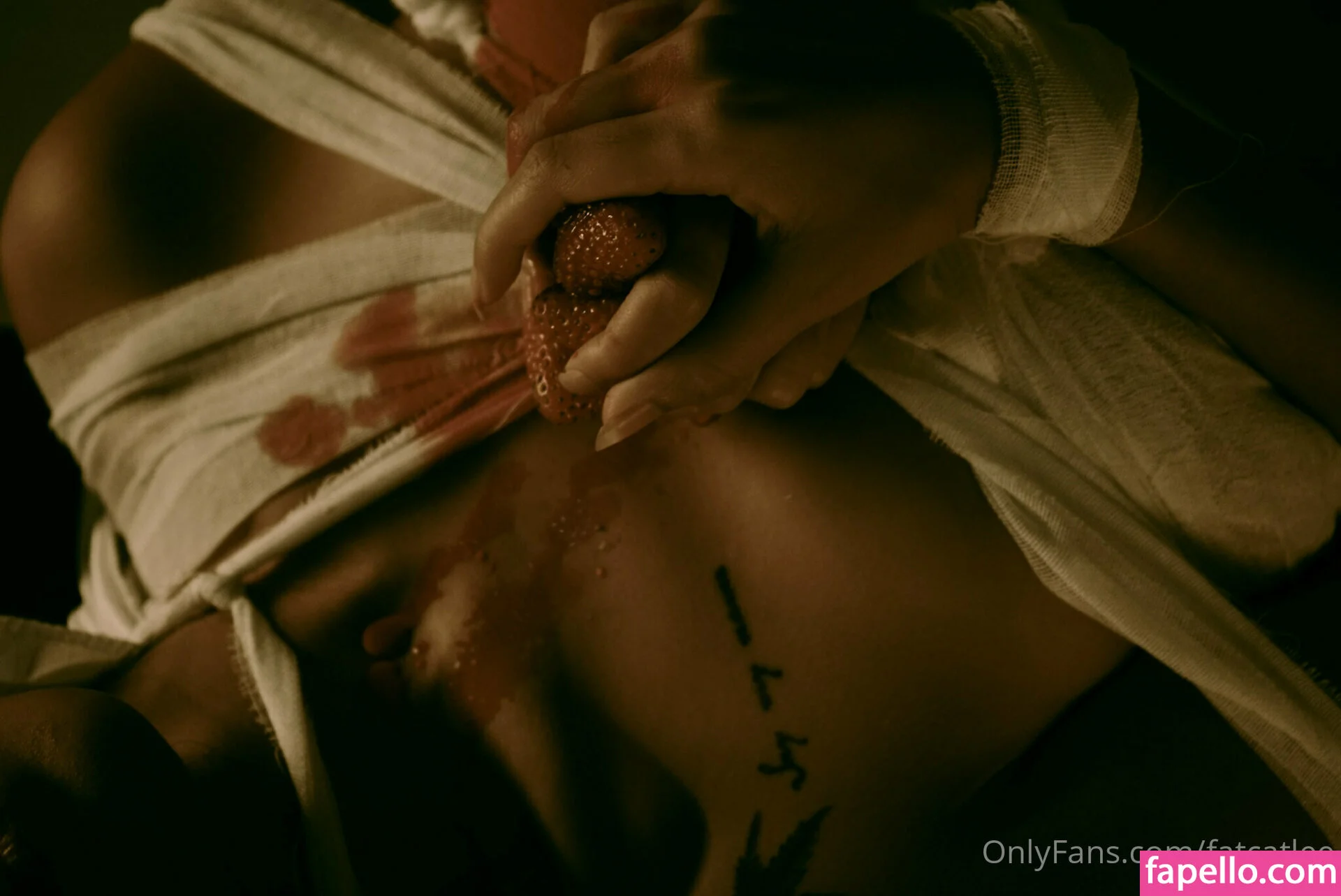 Fatcat Li / fatcatlee / foxxileelee Onlyfans Photo Gallery 