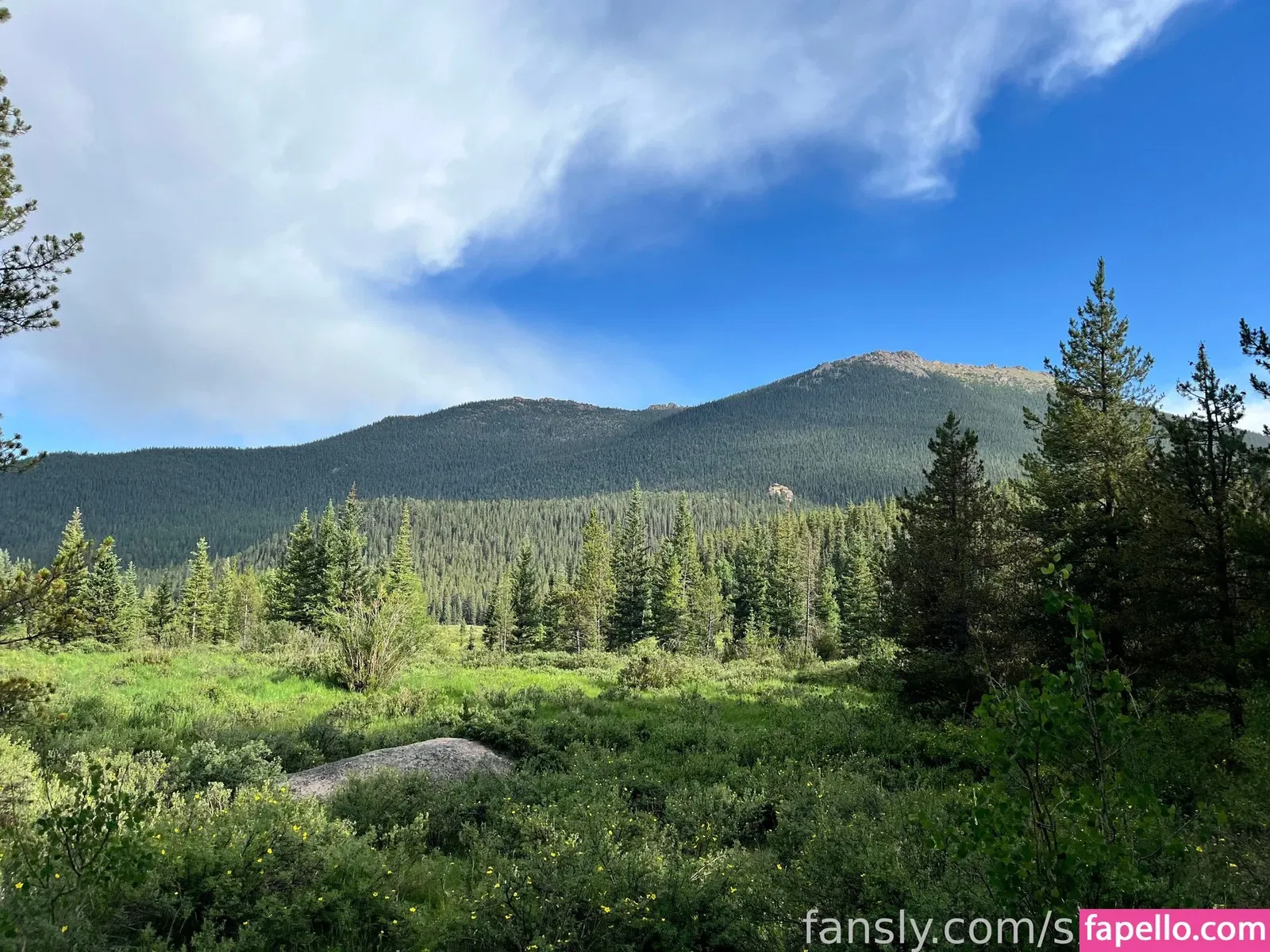 https: / shakicast Onlyfans Photo Gallery 