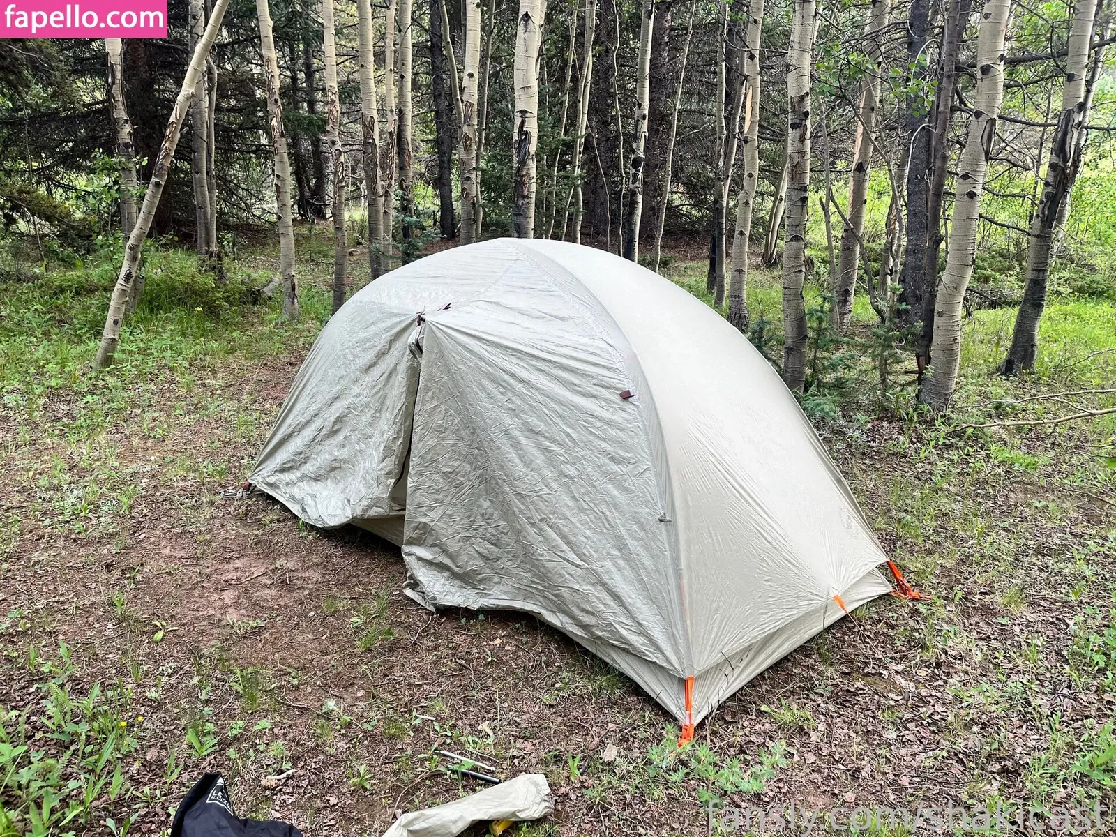 https: / shakicast Onlyfans Photo Gallery 