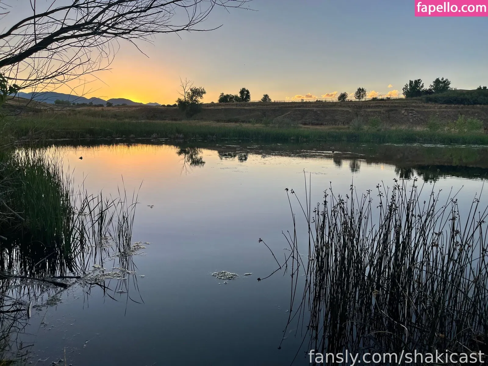 https: / shakicast Onlyfans Photo Gallery 