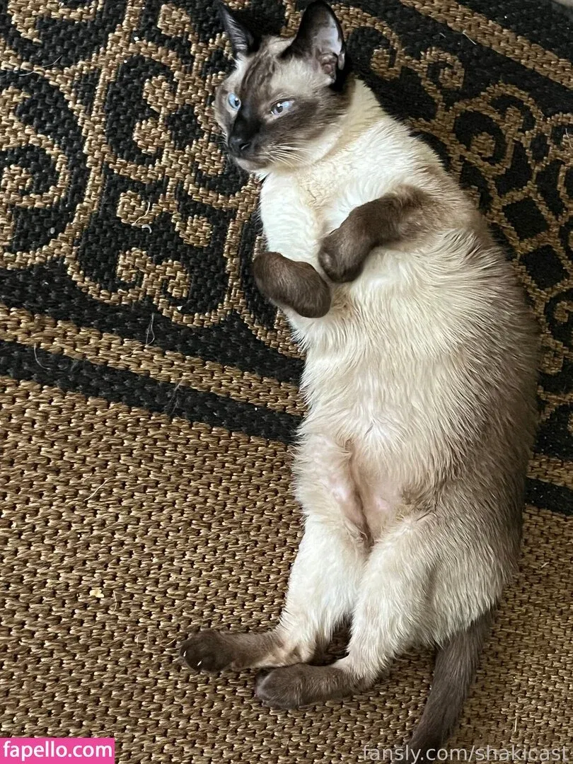 https: / shakicast Onlyfans Photo Gallery 