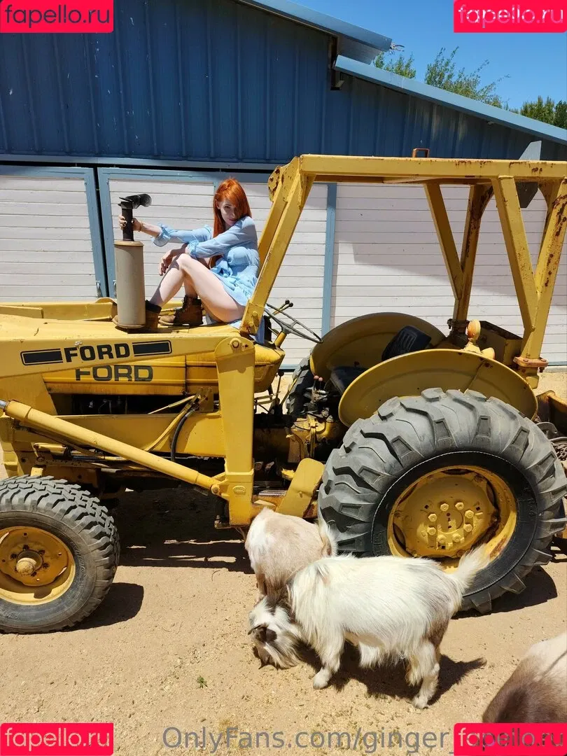 GingerXSpinner / drgingerknits Onlyfans Photo Gallery 