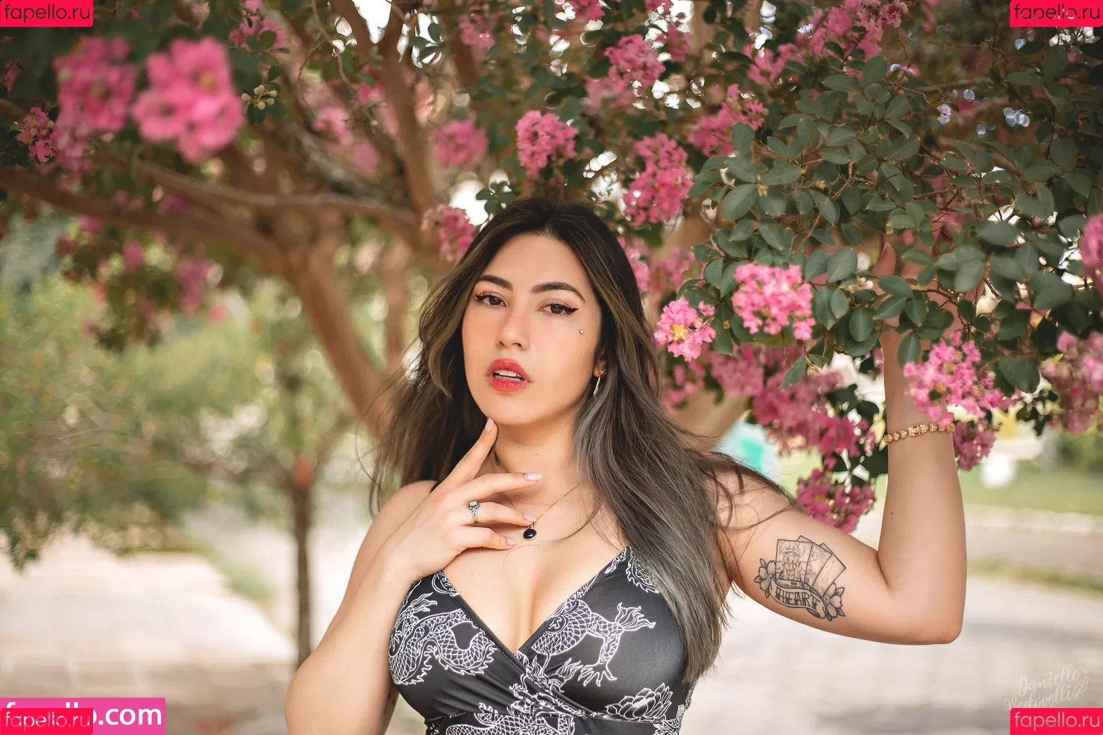 Danielle Vedovelli / Danievedo Onlyfans Photo Gallery 