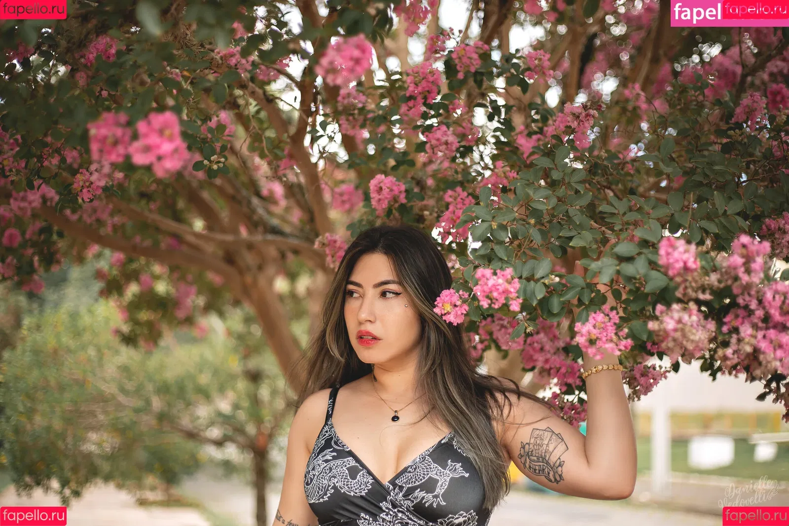 Danielle Vedovelli / Danievedo Onlyfans Photo Gallery 