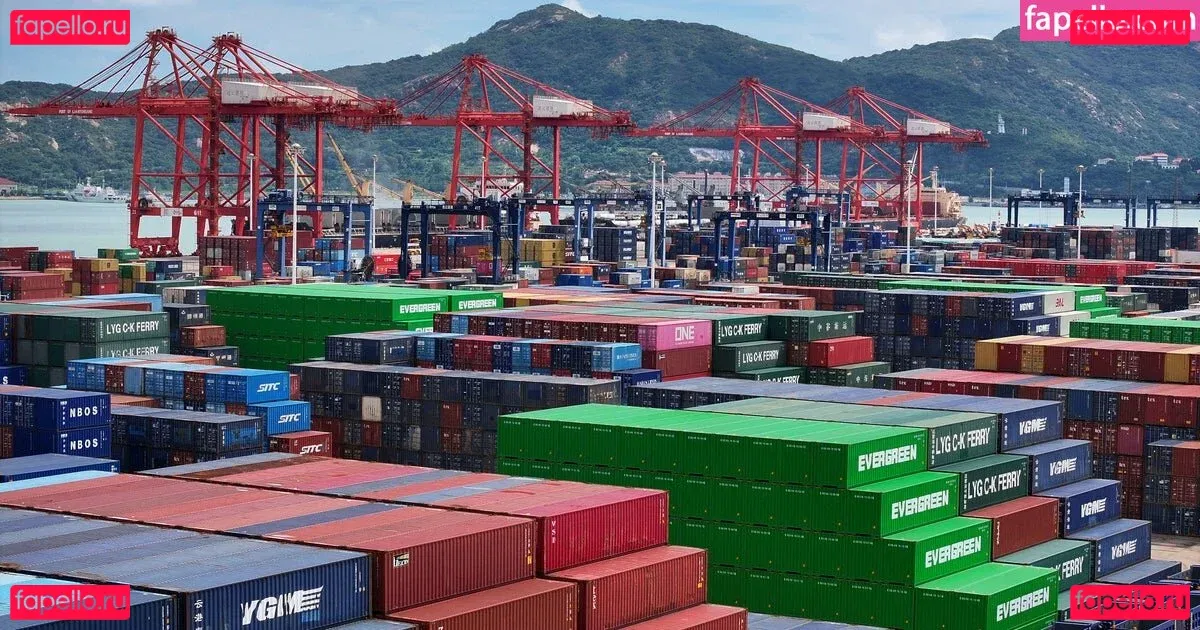 Danielle Vedovelli / Danievedo Onlyfans Photo Gallery 