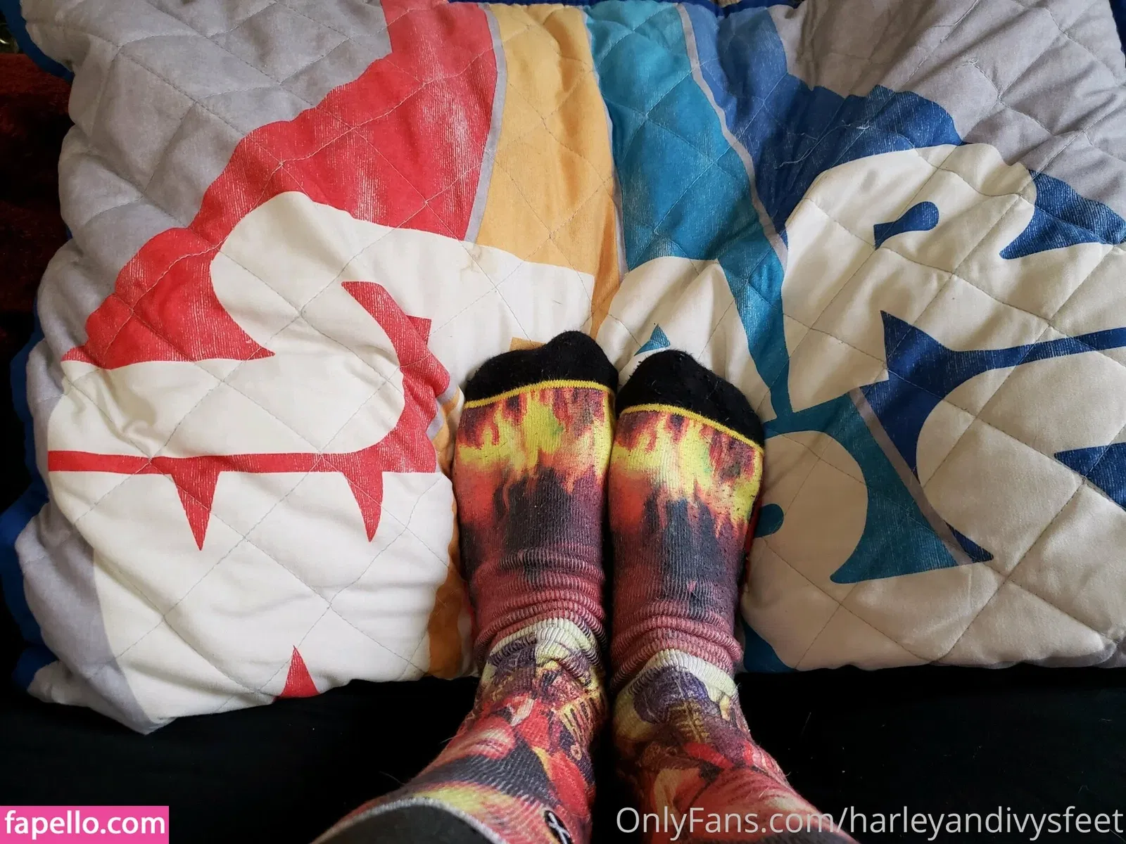 fl0werchildd / harleyandivysfeet Onlyfans Photo Gallery 