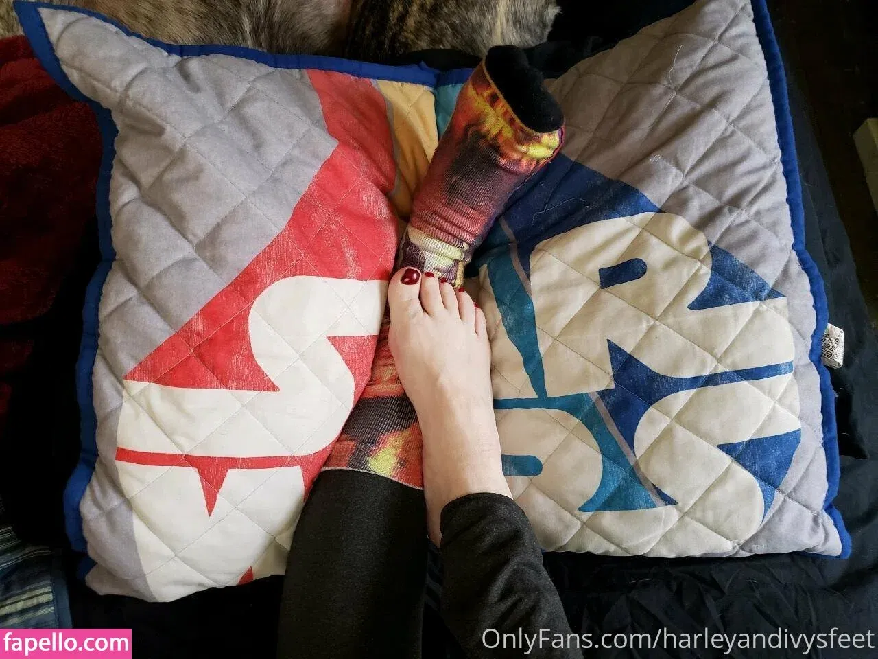 fl0werchildd / harleyandivysfeet Onlyfans Photo Gallery 